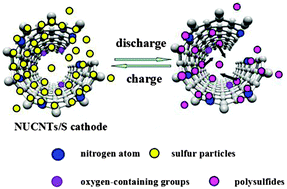 Graphical abstract: A nitrogen-doped unzipped carbon nanotube/sulfur composite as an advanced cathode for lithium–sulfur batteries