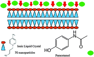 Graphical abstract: Nickel oxide nanoparticles/ionic liquid crystal modified carbon composite electrode for determination of neurotransmitters and paracetamol