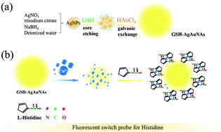 Graphical abstract: A novel glutathione-stabilized silver–gold nano-alloy/Cu2+ combination as a fluorescent switch probe for l-histidine