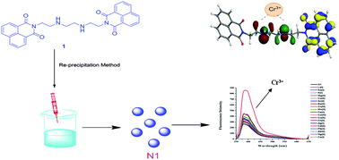 Graphical abstract: Development of a Cr(iii) ion selective fluorescence probe using organic nanoparticles and its real time applicability