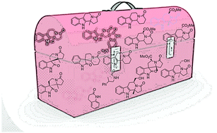 Graphical abstract: Diverse synthesis of natural product inspired fused and spiro-heterocyclic scaffolds via ring distortion and ring construction strategies