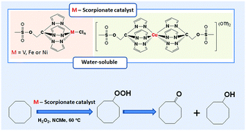 Graphical abstract: V(iv), Fe(ii), Ni(ii) and Cu(ii) complexes bearing 2,2,2-tris(pyrazol-1-yl)ethyl methanesulfonate: application as catalysts for the cyclooctane oxidation