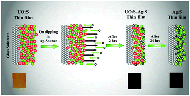 Graphical abstract: The first report on SILAR deposited nanostructured uranyl sulphide thin films and their chemical conversion to silver sulphide