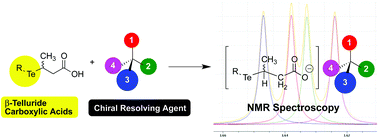 Graphical abstract: Chiral discrimination of β-telluride carboxylic acids by NMR spectroscopy