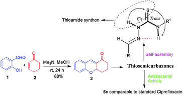 Graphical abstract: Me3N-promoted synthesis of 2,3,4,4a-tetrahydroxanthen-1-one: preparation of thiosemicarbazone derivatives, their solid state self-assembly and antimicrobial properties