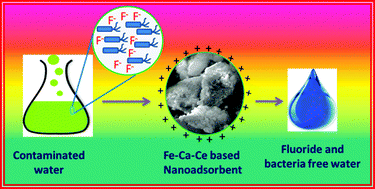 Graphical abstract: Nanocomposite for the detoxification of drinking water: effective and efficient removal of fluoride and bactericidal activity