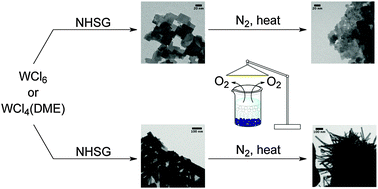 Graphical abstract: Tungsten oxide by non-hydrolytic sol–gel: effect of molecular precursor on morphology, phase and photocatalytic performance
