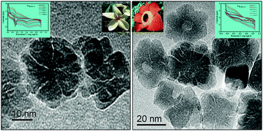 Graphical abstract: Solvent specific synthesis of nano corpse flowery lithiated iron oxide as an energy storage and gas sensing material