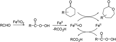 Graphical abstract: Oxoiron(iv)-mediated Baeyer–Villiger oxidation of cyclohexanones generated by dioxygen with co-oxidation of aldehydes