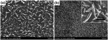 Graphical abstract: Formation and corrosion resistance of a phosphate chemical conversion coating on medium carbon low alloy steel