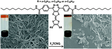 Graphical abstract: Gel properties of T-shaped tetrathiafulvalene–pyridazine conjugates and F4TCNQ-induced morphological transformation