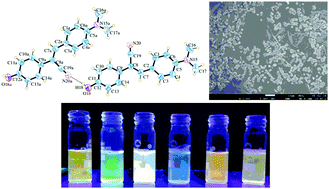 Graphical abstract: A sensitive AIEE probe for amphiphilic compounds