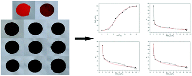 Graphical abstract: Red lead degradation: monitoring of color change over time