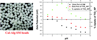 Graphical abstract: Highly efficient removal of TiO2 nanoparticles from aquatic bodies by silica microsphere impregnated Ca-alginate