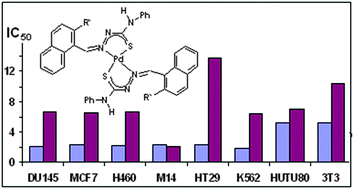 Graphical abstract: In vitro antiproliferative activity of palladium(ii) thiosemicarbazone complexes and the corresponding functionalized chitosan coated magnetite nanoparticles