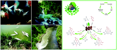 Graphical abstract: Nano-zirconia as an excellent nano support for immobilization of sulfonic acid: a new, efficient and highly recyclable heterogeneous solid acid nanocatalyst for multicomponent reactions