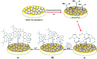 Graphical abstract: Plasma polyacrylic acid and hollow TiO2 spheres modified with rhodamine B for sensitive electrochemical sensing Cu(ii)