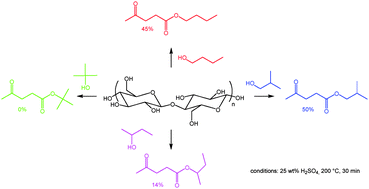 Graphical abstract: Influence of butanol isomers on the reactivity of cellulose towards the synthesis of butyl levulinates catalyzed by liquid and solid acid catalysts