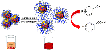 Graphical abstract: Poly(amic acid) salt-stabilized silver nanoparticles as efficient and recyclable quasi-homogeneous catalysts for the aqueous hydration of nitriles to amides