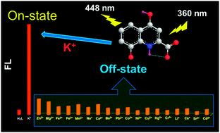Graphical abstract: Xanthurenic acid: a natural ionophore with high selectivity and sensitivity for potassium ions in an aqueous solution