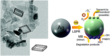 Graphical abstract: Synthesis of (Ag,F)-modified anatase TiO2 nanosheets and their enhanced photocatalytic activity