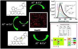 Graphical abstract: A rhodamine embedded bio-compatible smart molecule mimicking a combinatorial logic circuit and ‘key-pad lock’ memory device for defending against information risk