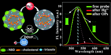 Graphical abstract: Synthesis and sensing applications of a new fluorescent derivative of cholesterol