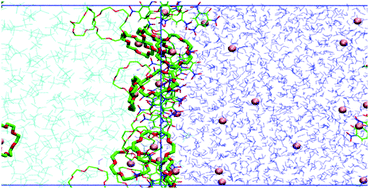 Graphical abstract: Liquid–liquid extraction of alkali cations by 18-crown-6: complexation and interface crossing studied by MD and PMF simulations