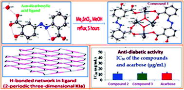 Graphical abstract: Synthesis, characterization and anti-diabetic assay of diorganotin(iv) azo-carboxylates: crystal structure and topological studies of azo-dicarboxylic acid ligand and its cyclic tetranuclear dimethyltin(iv) complex