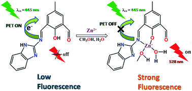 Graphical abstract: A highly selective and biocompatible chemosensor for sensitive detection of zinc(ii)