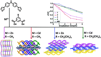 Graphical abstract: Alkyl group-directed assembly of coordination polymers based on bis-(4-imidazol-1-yl-phenyl)-amine and their photocatalytic properties