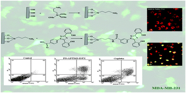 Graphical abstract: Deferasirox loaded on fumed silica nanoparticles used in cancer treatment