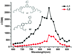 Graphical abstract: Design, synthesis, linear and nonlinear photophysical properties of novel pyrimidine-based imidazole derivatives