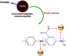 Graphical abstract: Efficient sorption of Pb(ii) from an aqueous solution using a poly(aniline-co-3-aminobenzoic acid)-based magnetic core–shell nanocomposite