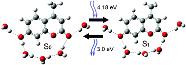 Graphical abstract: Exploring excited state properties of 7-hydroxy and 7-methoxy 4-methycoumarin: a combined time-dependent density functional theory/effective fragment potential study