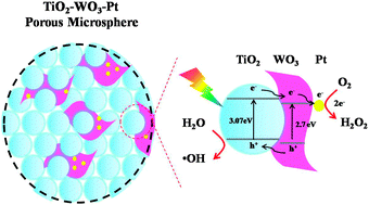 Graphical abstract: Ultrasonic spray pyrolysis assembly of a TiO2–WO3–Pt multi-heterojunction microsphere photocatalyst using highly crystalline WO3 nanosheets: less is better