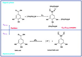 Graphical abstract: Reactive extraction of gallic acid with tri-n-caprylylamine