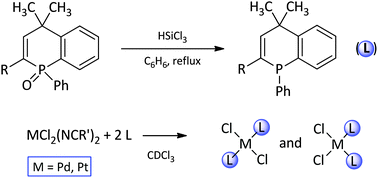 Graphical abstract: 1,4-Dihydrophosphinolines and their complexes with group 10 metals