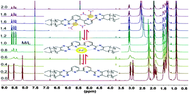 Graphical abstract: Separation and complexation of palladium(ii) with a new soft N-donor ligand 6,6′-bis(5,6-dinonyl-1,2,4-triazin-3-yl)-2,2′-bipyridine (C9-BTBP) in nitric acid medium