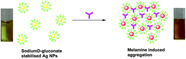 Graphical abstract: Naked eye sensing of melamine: aggregation induced recognition by sodium d-gluconate stabilised silver nanoparticles