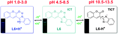 Graphical abstract: A novel pH sensor which could respond to multi-scale pH changes via different fluorescence emissions