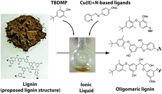 Graphical abstract: Effect of the N-based ligands in copper complexes for depolymerisation of lignin