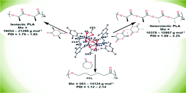 Graphical abstract: Zn(ii) and Cu(ii) formamidine complexes: structural, kinetics and polymer tacticity studies in the ring-opening polymerization of ε-caprolactone and lactides