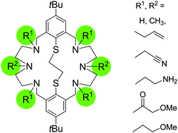 Graphical abstract: Synthesis and structural chemistry of bicyclic hexaaza-dithia macrocycles containing pendant donor groups