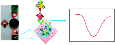 Graphical abstract: A 3D electrochemical immunodevice based on an Au paper electrode and using Au nanoflowers for amplification