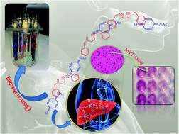 Graphical abstract: A combination risk assessment of paracetamol: electrochemical oxidation behavior and cytotoxic effect evaluation of paracetamol in the presence of N1,N2-dibenzylethane-1,2-diamine