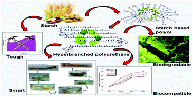 Graphical abstract: Sustainable starch modified polyol based tough, biocompatible, hyperbranched polyurethane with a shape memory attribute