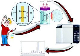 Graphical abstract: Self-assembled benzyl mercaptan monolayer as a coating in electromembrane surrounded solid-phase microextraction of antihistamines in urine and plasma samples