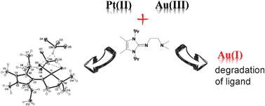 Graphical abstract: Platinum(ii) complexes with hybrid amine-imidazolin-2-imine ligands and their reactivity toward bio-molecules