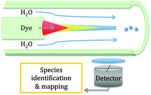 Graphical abstract: Nucleation and growth during a fluorogenic precipitation in a micro-flow mapped by fluorescence lifetime microscopy